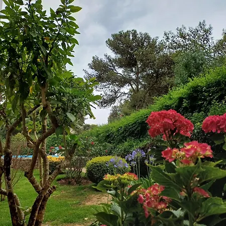 Appartamento With Swiming Pool