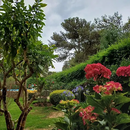 Apartamento With Swiming Pool
