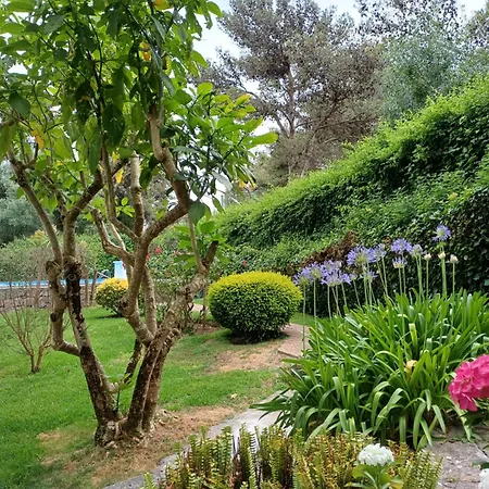 With Swiming Pool アパート *